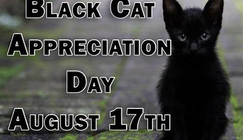 Black Cat Appreciation Day Postcard | Zazzle.com in 2020 | Black cat