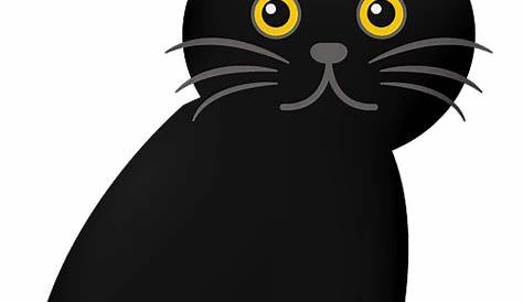 black cat Crazy cat clipart halloween black vector free transparent png