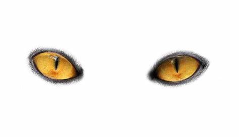 Black Cat Clip Art With Big Eyes - GuhPix | GuhPix