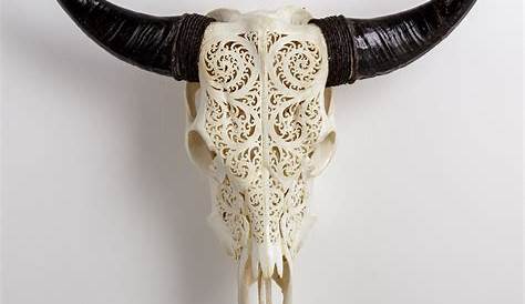 Faux cow skull, black wall decor (With images) | Black walls, Black
