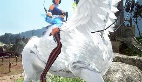 Black Desert Online: Top Classes For PVE (2023)