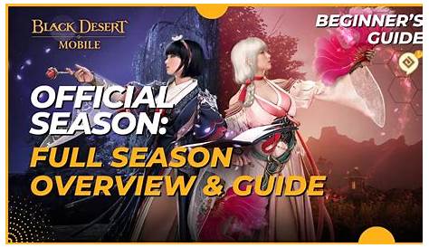 Black Desert Mobile Guide: Features, Classes and Max Level And