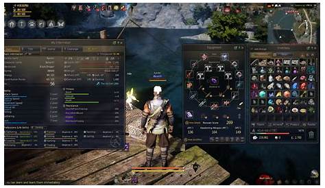 Black Desert Online SEA : Guide: Optimize your high-end portable gaming