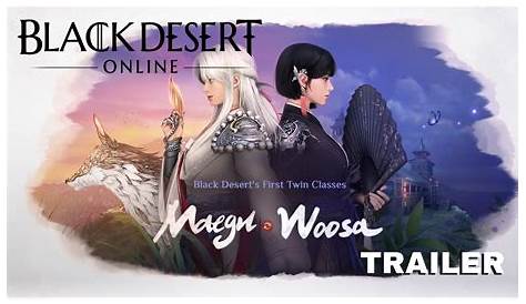 Black Desert all classes skills gameplay going into 2021 [Video