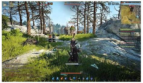 MMORPG 'Black Desert Online' targeting native 4K resolution on Xbox One