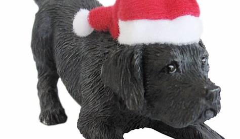 Black Lab Gifts For Christmas Rador Retriever Mug Dog Etsy