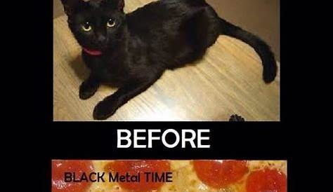 Black Metal Cat Meme Center Largest Creative Humor Community Heavy