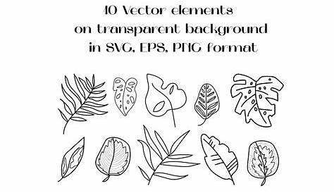 "Beautiful leaf in black and white icon vector illustration graphic