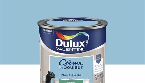 Peinture murs et boiseries Dulux Valentine bleu gris satin