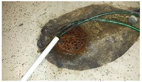 How To Fix A Clogged Basement Drain The Best Picture Basement 2020