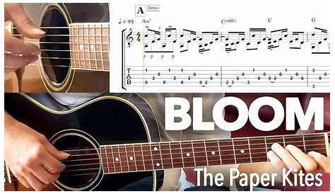 Bloom The Paper Kites Guitar
