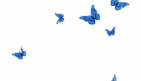 Download HD Blue Butterfly Flying Png Download - Picsart Butterfly