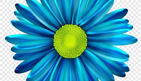 Blue Flower PNG by Bunny-with-Camera on DeviantArt
