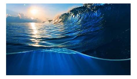 Blue Gold Ocean Wallpaper Submariner Clearance Online Save 41 Jlcatj Gob Mx