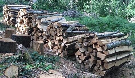 Bois de chauffage 22 - Cyberbois - Le bois sous toutes ses formes
