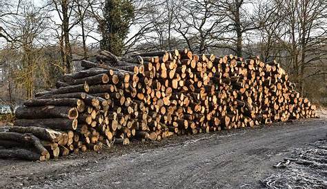 Prix de l'énergie : "J'ai beaucoup de nouveaux clients", le bois de