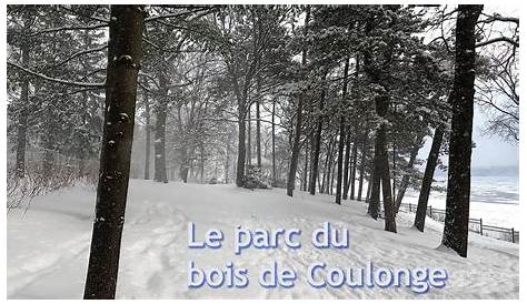 Bois De Coulonge Hiver Winter, Parc Du de, Québec, Canada