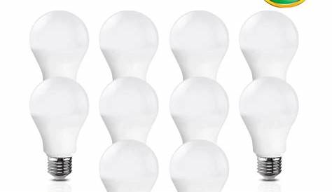 Bombitas de luz, Ideas | Bombillas recicladas, Condimenteros, Reciclar