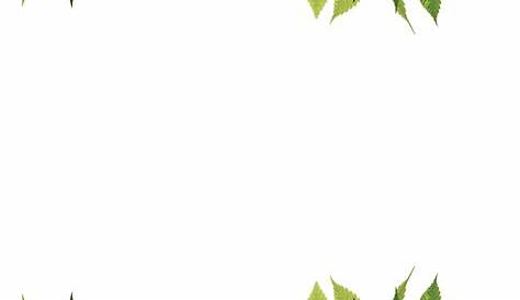 Border template with green leaves Royalty Free Vector Image