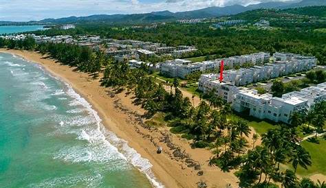 Papagayo Costa Rica Hotels - Bosque del Mar in Playa Hermosa