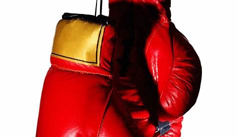 Boxing gloves Free Stock Photo | FreeImages