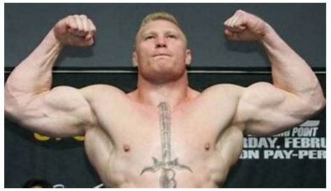 All Super Stars: Brock Lesnar UFC