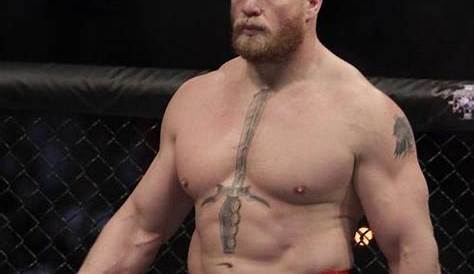 How Brock Lesnar’s height, weight and size affects his fighting style