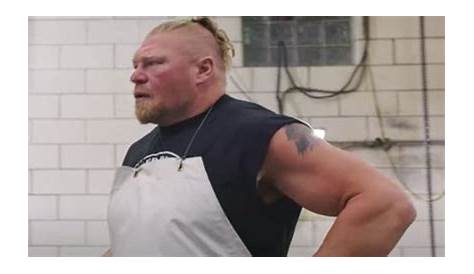 What business ventures does Brock Lesnar have?