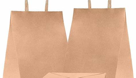 Paper Bags Shopping Bags. Pack of 25 Grocery Bags 10 x 5 x 13. Natural