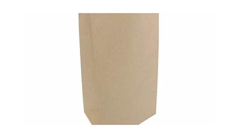 Brown Paper Bag in Delhi, Bhuri Kagaz Ki Thaeli Dealers & Suppliers in