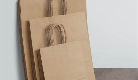 This startup has supplied over 12 million paper bags to businesses