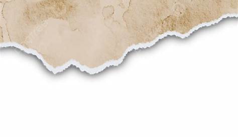 Torn Paper With Brown Color, Torn Paper, Brown, Ripped PNG Transparent