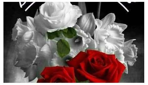 A beauty (con imágenes) | Rosas, Rosas blancas, Flores bonitas