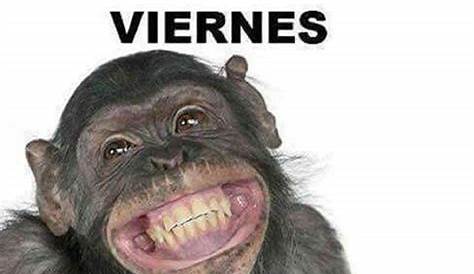Feliz Viernes chistoso 3 | Good night massage, Memes, Good morning quotes