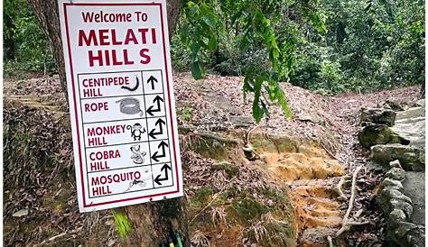 Bukit Melati Trail Hike - Nilai, Negeri Sembilan, Malaysia | Pacer