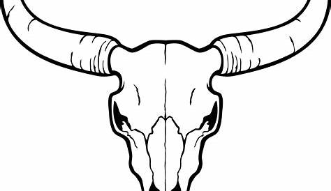 Free Bull Skull Pictures, Download Free Bull Skull Pictures png images