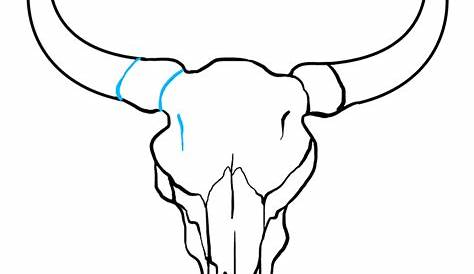 How to Draw a Bull Skull - Really Easy Drawing Tutorial