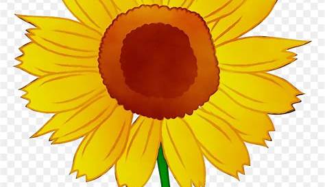 Banner Royalty Free Download Sunflower Clipart - Gambar Bunga Matahari