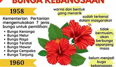 Apakah Bunga Kebangsaan Malaysia - FletchermcyBenjamin