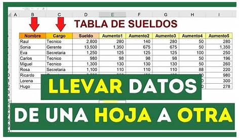 Macro para copiar datos de una hoja a otra en Excel • Excel Total