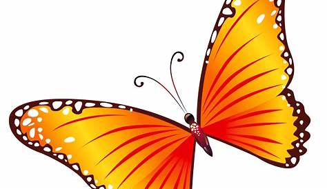 BUTTERFLY Png - ClipArt Best