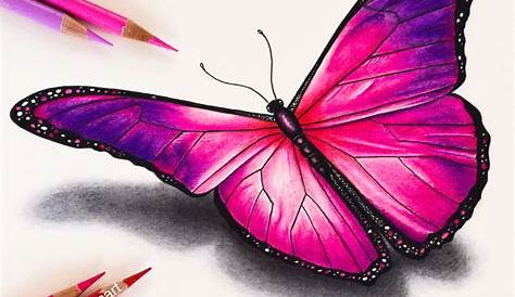 Picture of a pink butterfly drawn using colored pencils. Butterfly