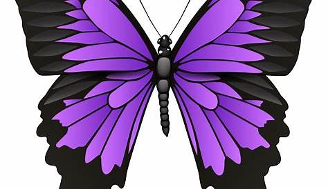 Butterfly Clip art - Flying Butterflies Transparent Background png