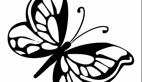 Butterfly Line Drawing at GetDrawings | Free download