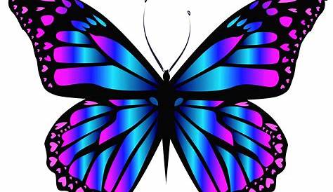 Download Butterfly PNG Image for Free