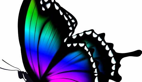 Free Butterfly PNG HD Transparent Butterfly HD.PNG Images. | PlusPNG