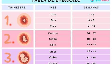 Tabla para contar las semanas y los meses en el embarazo - Etapa Infantil
