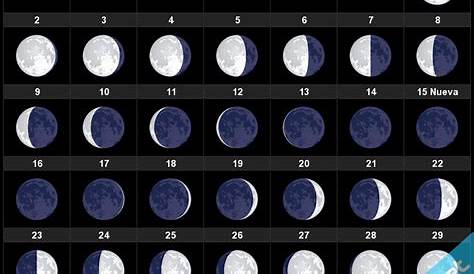 Pin de Cris Oso en Luna en 2020 | Calendario lunar, Calendario, Luna