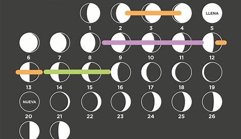 Calendario lunar febrero 2019 | Calendario lunar, Calendario, Lunares