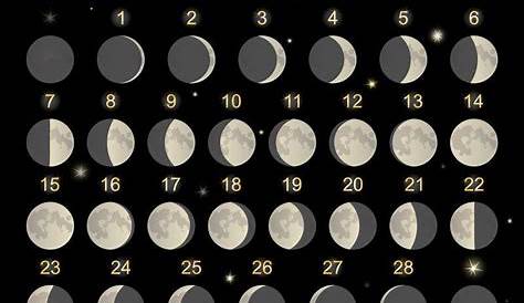 Calendario fasi lunari 2013, luna piena e crescente per capelli e semina